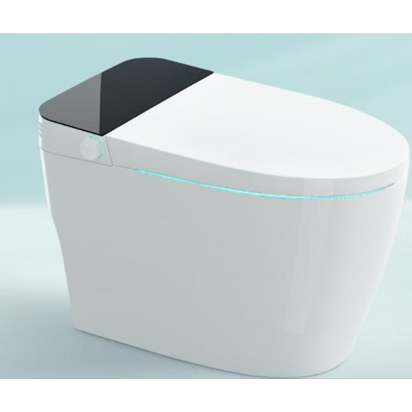 Intelligens WC